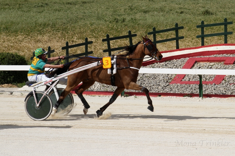 2015_Race 6 - 11.JPG